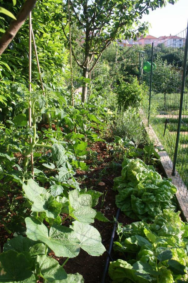 Apartment Green Garden Póla Kültér fotó